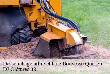 dessouchage-arbre-et-haie