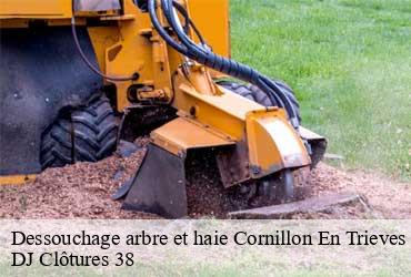 dessouchage-arbre-et-haie