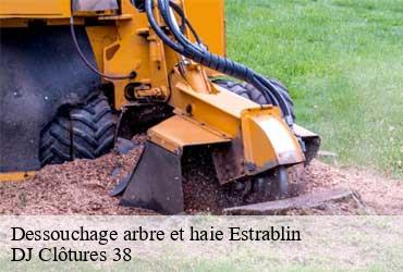 dessouchage-arbre-et-haie