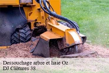 dessouchage-arbre-et-haie