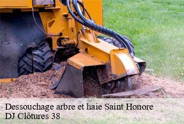 dessouchage-arbre-et-haie